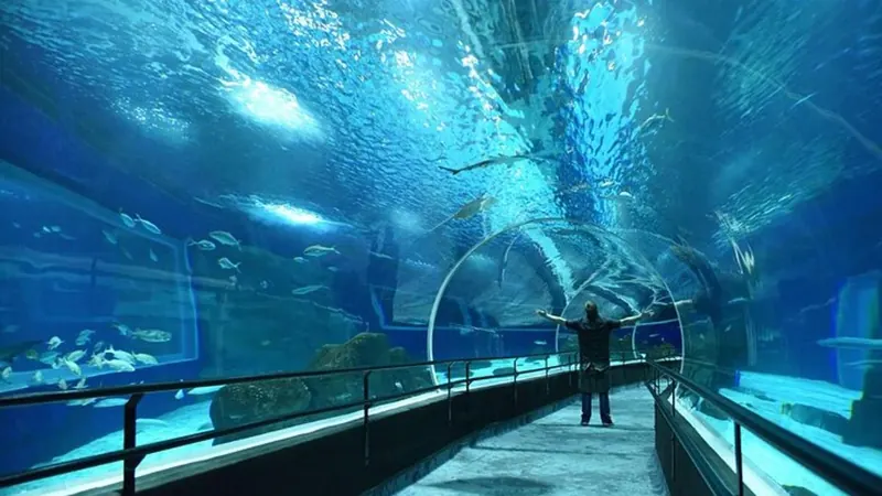 Ticket to AquaRio, Rio's aquarium
