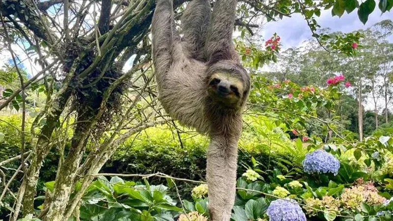 Aventura na Floresta da Tijuca: cavernas e cachoeiras